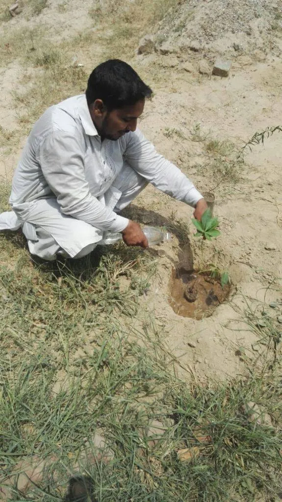 Green Seekers Activity